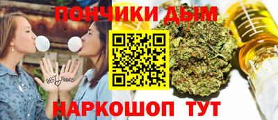 гидра Краснокаменск