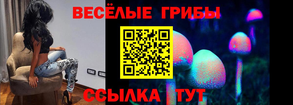 Галлюциногенные грибы мицелий Дмитров