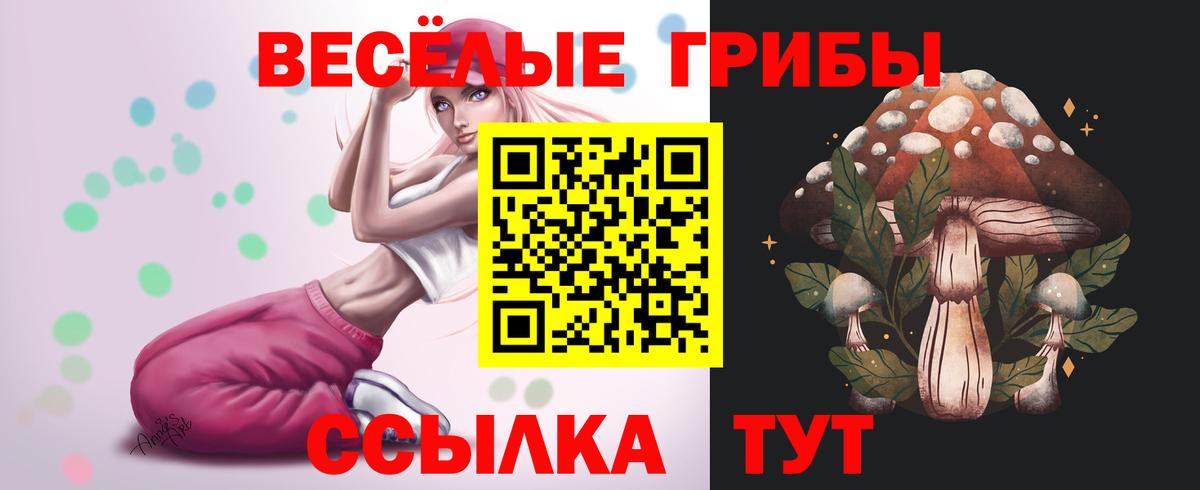 Дмитров  Галлюциногенные грибы MAGIC MUSHROOMS  Вход с VPN  Галлюциногенные грибы прущие грибы 
